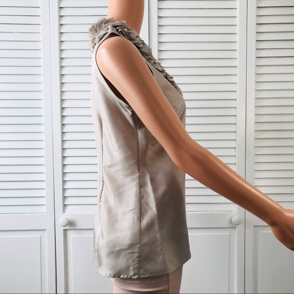 2/$25 ANN TAYLOR Petite Beige Sleeveless Silk Button Down Blouse Size XS - Picture 5 of 8